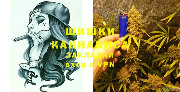 СК Тайга