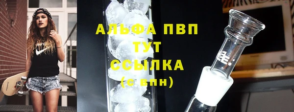 СК Тайга