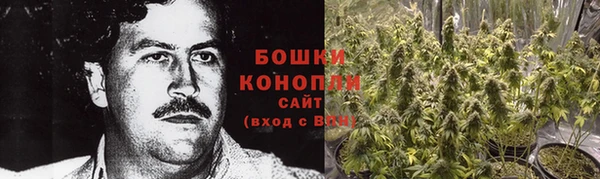 СК Тайга